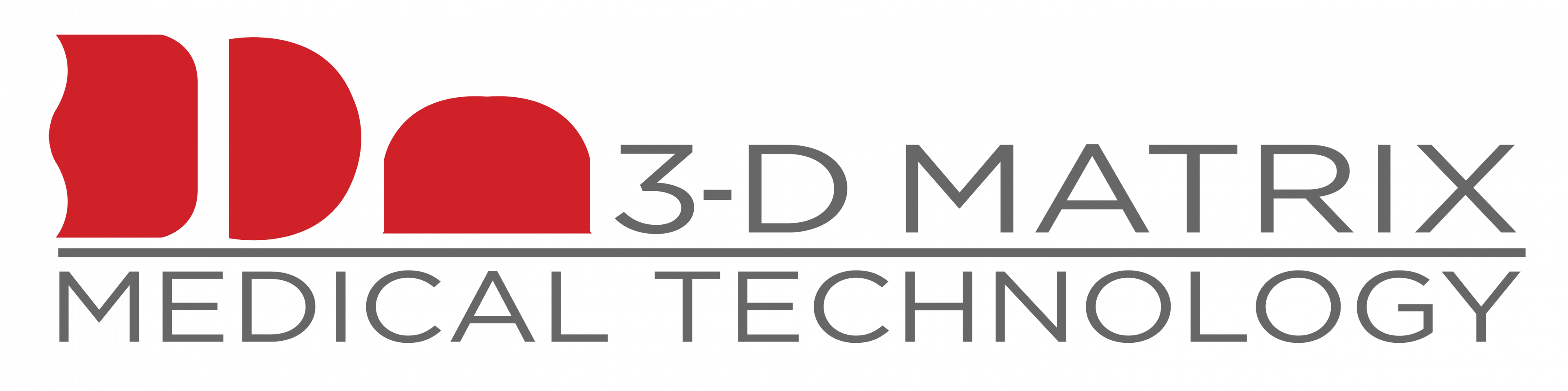3-D Matrix Logo
