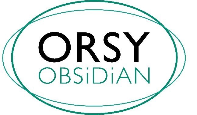 logo ORSY Study