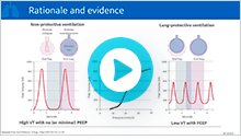 LPV FORUM VIDEO SERIES