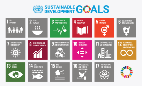 Sustainable Development Goals (SDGs)