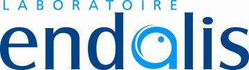 Endalis Logo