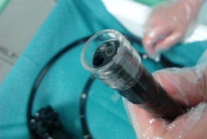 Distal cap + Endoscope