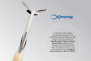 Moray® Micro Forceps - STERIS