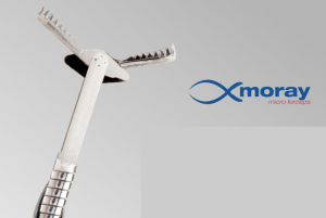 Moray® Micro Forceps - STERIS