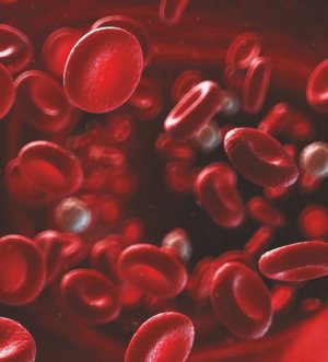 gestion thrombose veine profonde