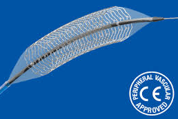 Balloon expandable stents