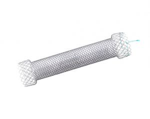 Niti-S™ S Pyloric/duodenal stent - TaeWoong