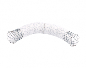 Niti-S™ BUMPY™ Pancreatic Stent - TaeWoong 