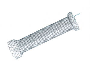 Niti-S™ CERVICAL™ Esophageal Stent - TaeWoong