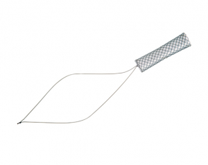 Niti-S™ KAFFES™ Biliary Stent - TaeWoong