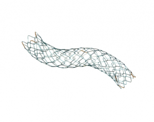 Niti-S™ LCD™ Biliary Stent - TaeWoong