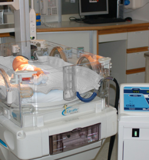 Kool-Kit® Neonate