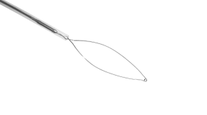 Injection et résection endoscopiques