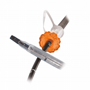 Guardus