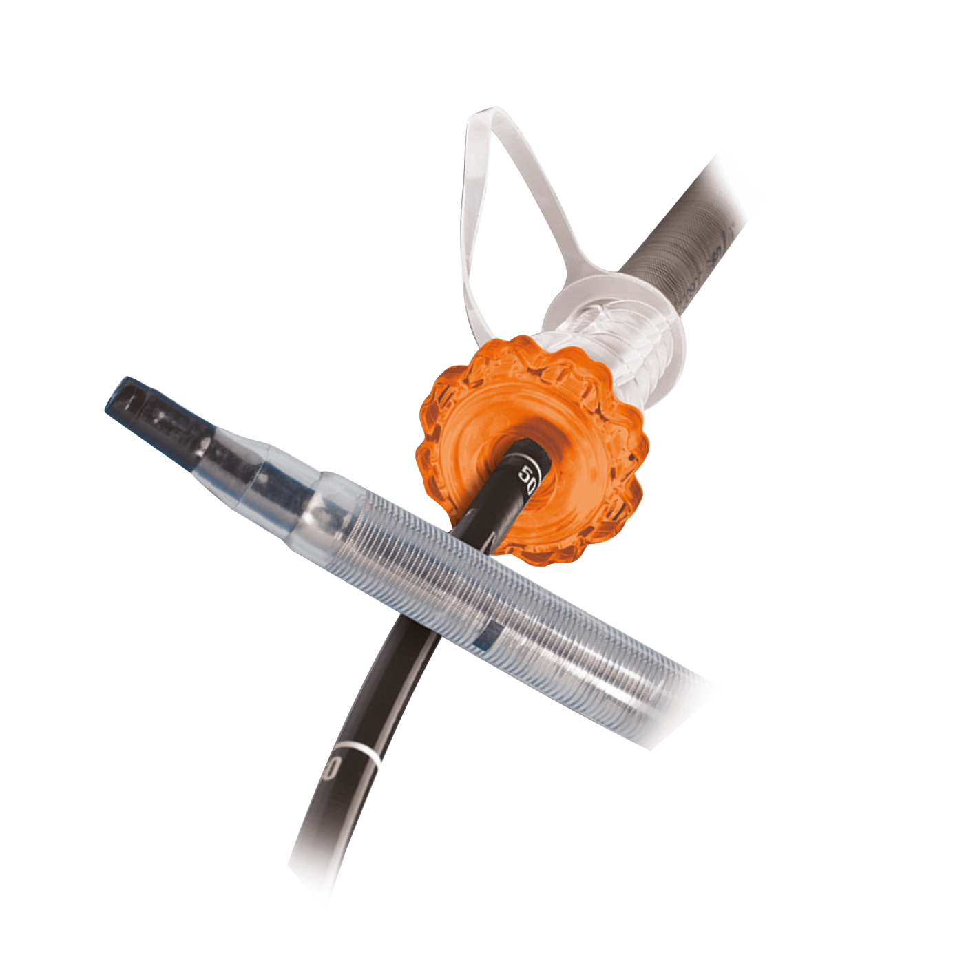 guardus