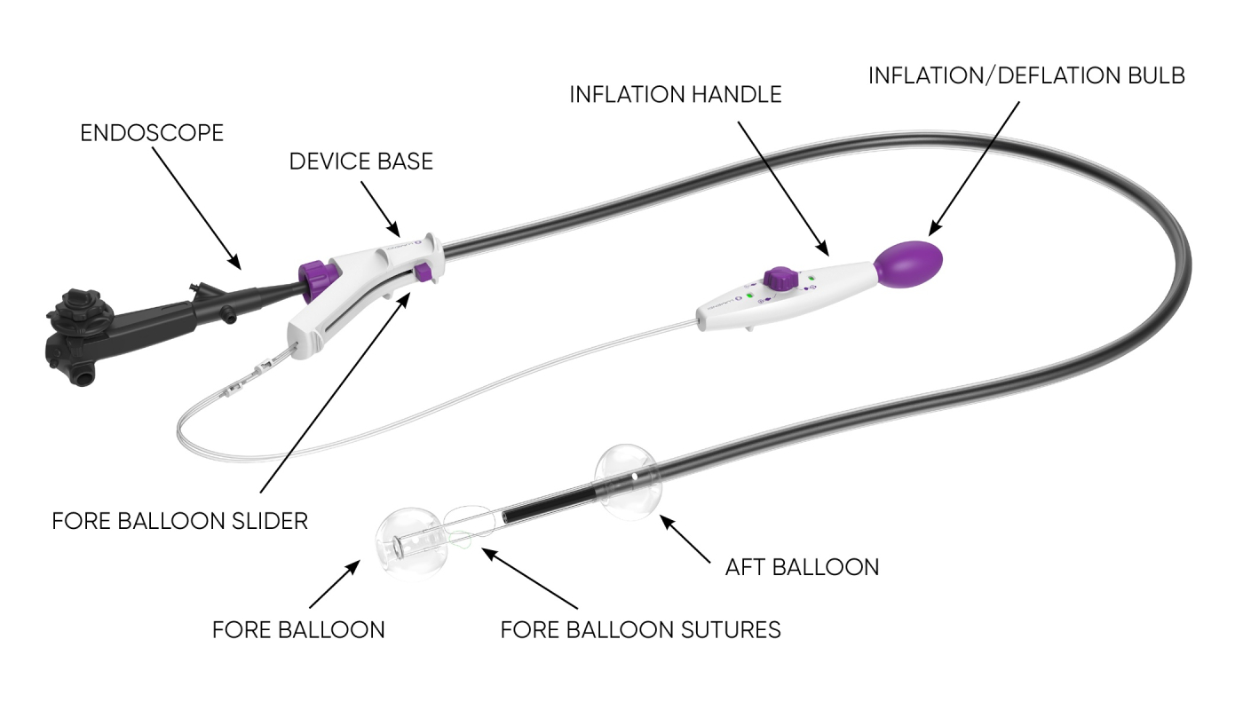 DiLumen EZ Glide