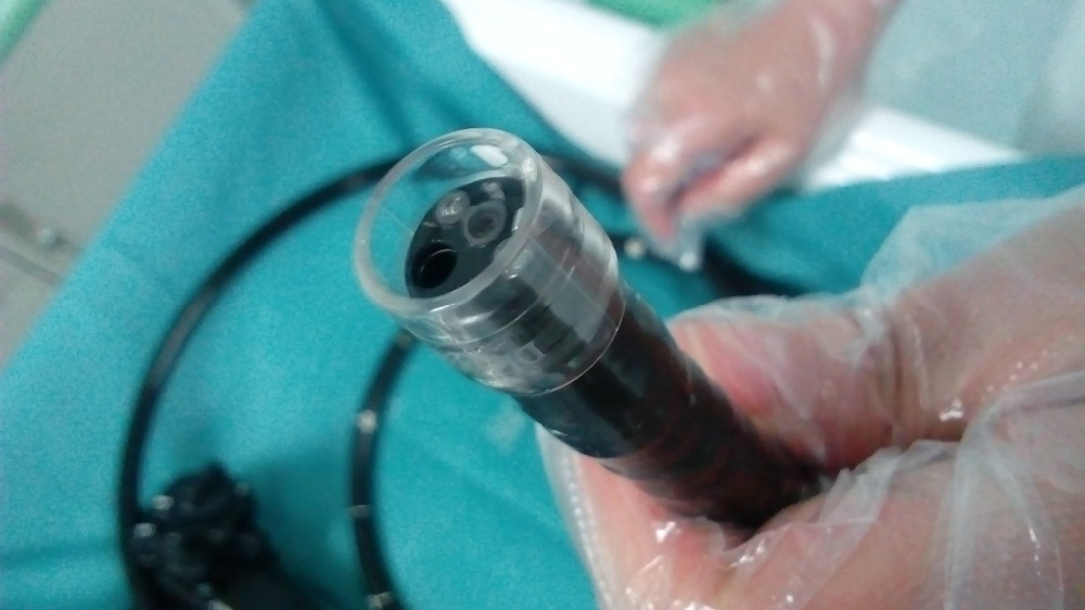 Distal cap + Endoscope