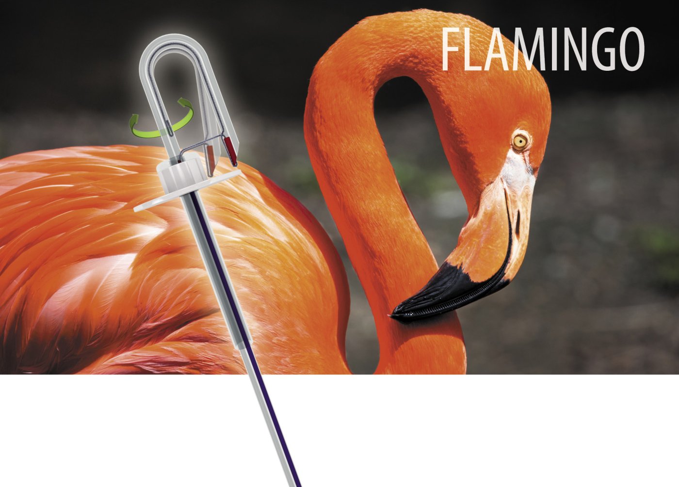 Flamingo Buried-Bumper-Therapie