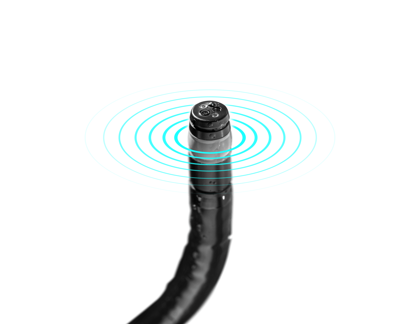 Echo-endoscope radial tête