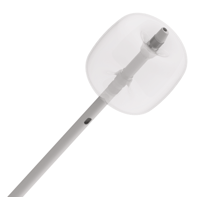 Fujifilm Tortuga Steinextraktionsballon