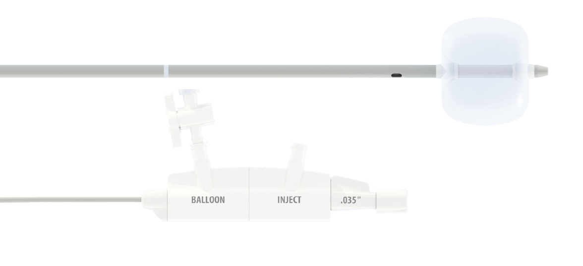 Fujifilm Tortuga Steinextraktionsballon