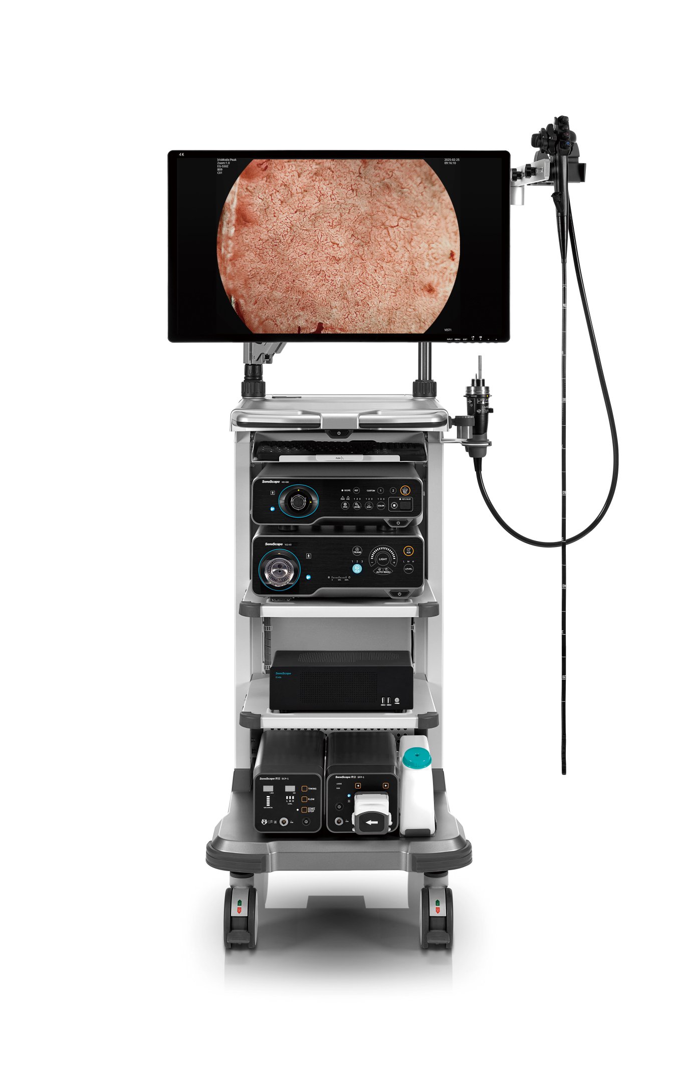 HD650