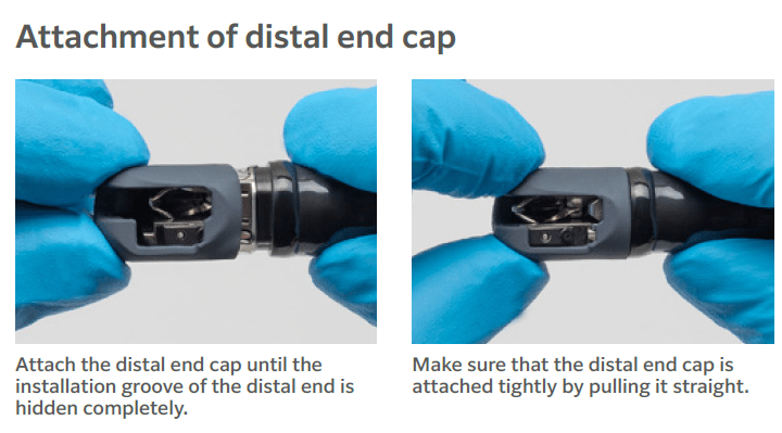 Distal cap DC