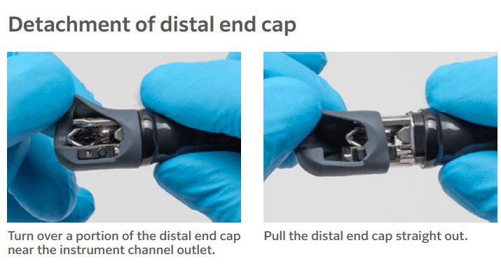 Distal  Cap DC