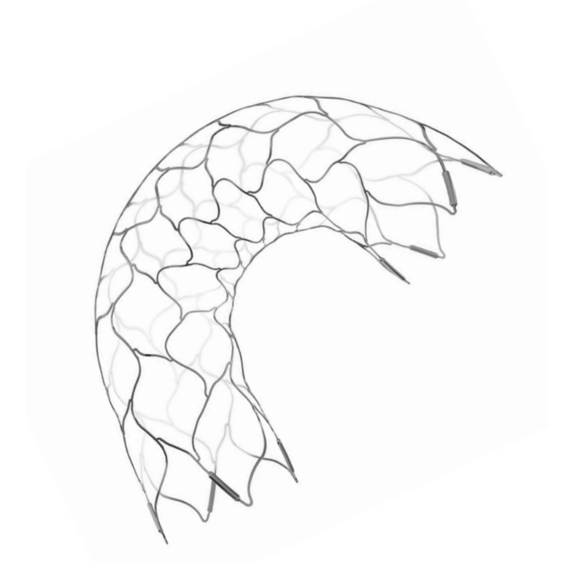 Cerenovus Enterprise 2