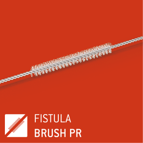 Fistula brush Ovesco