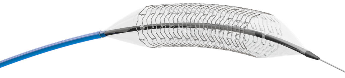  Peripheral Balloon Expandable Stent System
