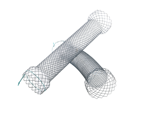 Niti-S™ S Pyloric/duodenal stent - TaeWoong 2