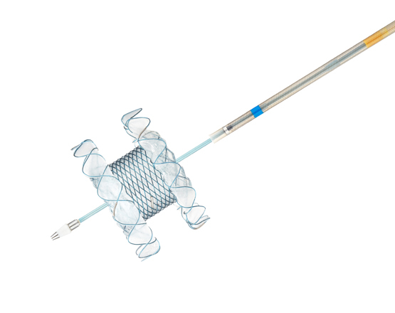 Niti-S™ HOT SPAXUS™_Stent - TaeWoong 3