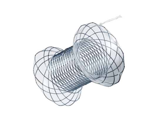 Niti-S™ NAGI™_Stent - TaeWoong 