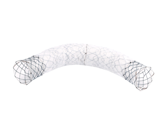 Niti-S™ BUMPY™ Biliary Stent - TaeWoong