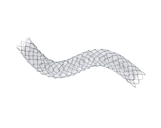 Niti-S™ COMVI Biliary Stent - TaeWoong