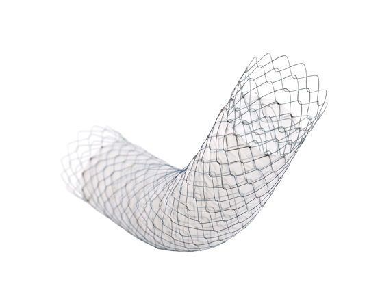 Niti-S™ COMVI™ Pyloric/duodenal Stent - TaeWoong 2