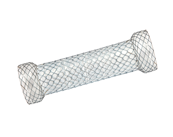 Niti-S™ DUAL™ Esophageal Stent - TaeWoong 