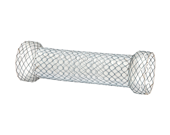 Niti-S™ DUAL™ Esophageal Stent - TaeWoong 2