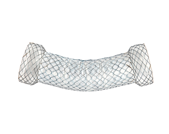 Niti-S™ DUAL™ Esophageal Stent - TaeWoong 3