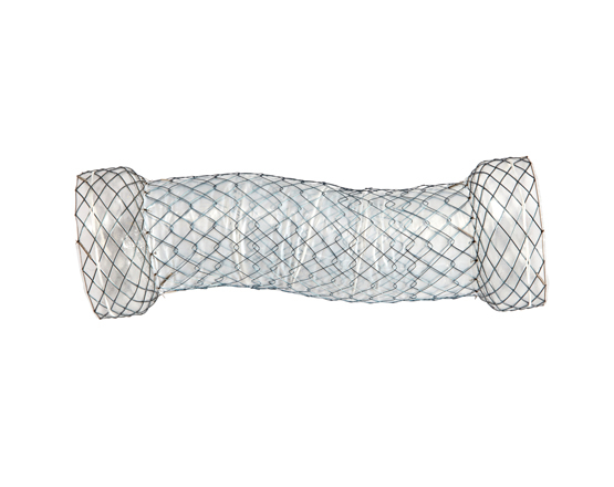 Niti-S™ DUAL™ Esophageal Stent - TaeWoong 4