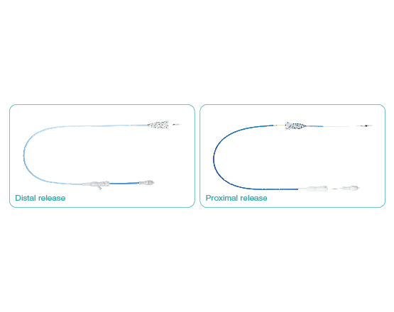 Niti-S™ Esophageal Covered Stent (Covered) - TaeWoong 2