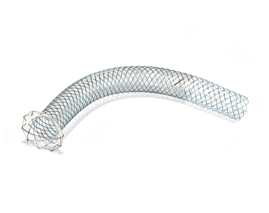 Niti-S™ GIOBOR™ Biliary Stent - TaeWoong 2