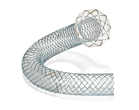 Niti-S™ GIOBOR™ Biliary Stent - TaeWoong 3