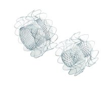 Niti-S™ HOT SPAXUS™_Stent - TaeWoong 