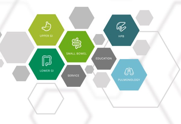 Full Solution Provider