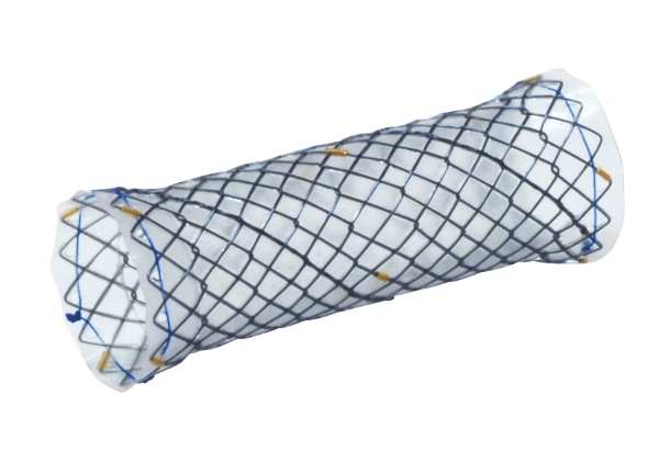 Hanarostent